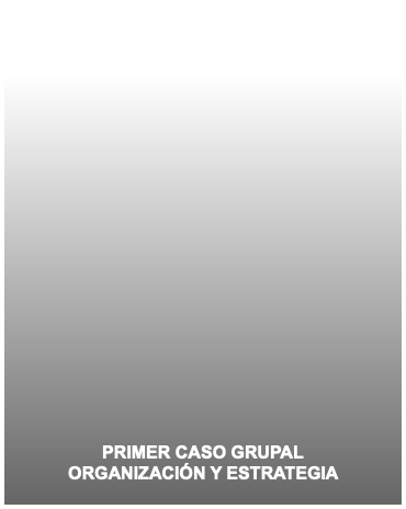 &nbsp;PRIMER CASO GRUPAL ORGANIZACIÓN Y ESTRATEGIA